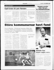 Síða 8