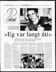 Síða 13