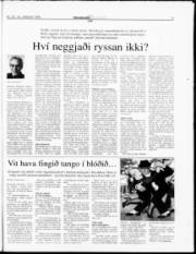 Síða 19