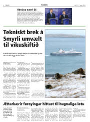 Síða 8