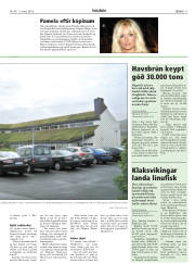 Síða 11