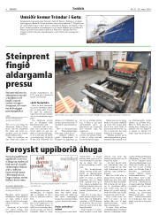 Síða 8