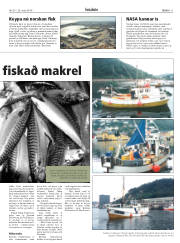 Síða 11