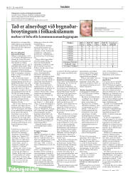 Síða 17