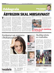 Síða 2