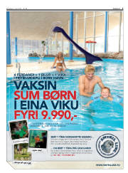 Síða 3