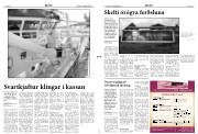 Síða 3