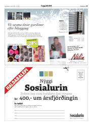 Síða 29
