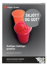 Síða 3