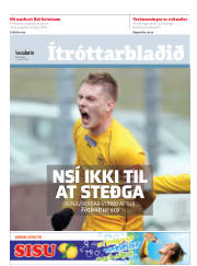 Síða 15