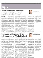 Síða 28