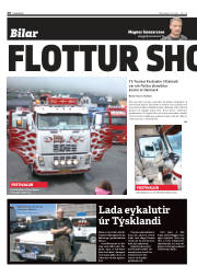 Síða 38