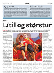 Síða 17