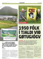 Síða 29