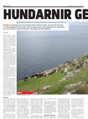 Síða 42