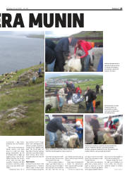 Síða 43