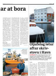 Síða 13
