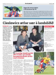 Síða 17