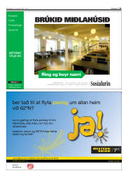 Síða 31