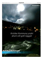 Síða 17
