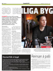 Síða 18