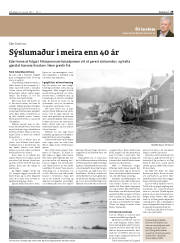 Síða 29