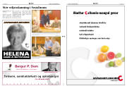 Síða 2