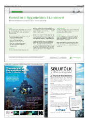 Síða 13