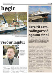Síða 29