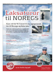Síða 35