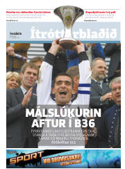 Síða 13