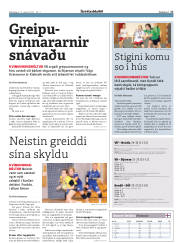 Síða 17