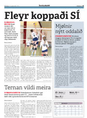 Síða 19