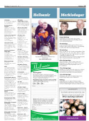 Síða 31