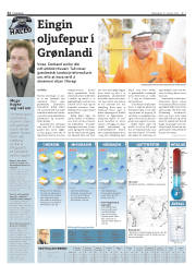 Síða 32