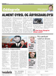 Síða 2