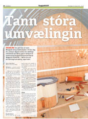 Síða 20