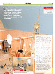 Síða 21