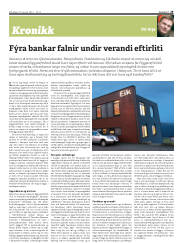 Síða 29