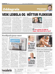 Síða 2