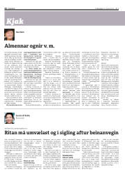 Síða 22