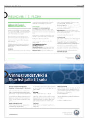 Síða 25