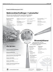 Síða 29