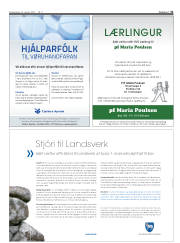 Síða 31