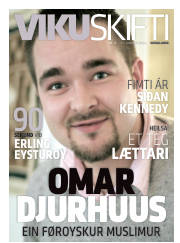 Síða 41