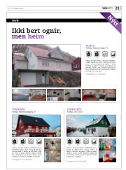Síða 61