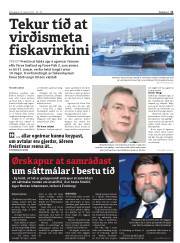 Síða 11