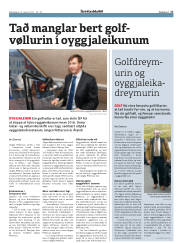 Síða 17