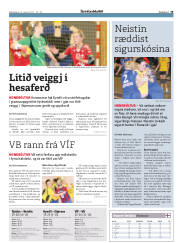 Síða 19