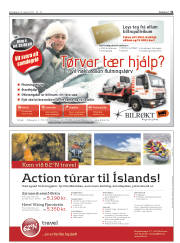 Síða 31